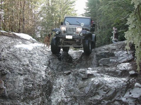 Jeep Wrangler climbing a difficult rocky trail with a dog nearby.