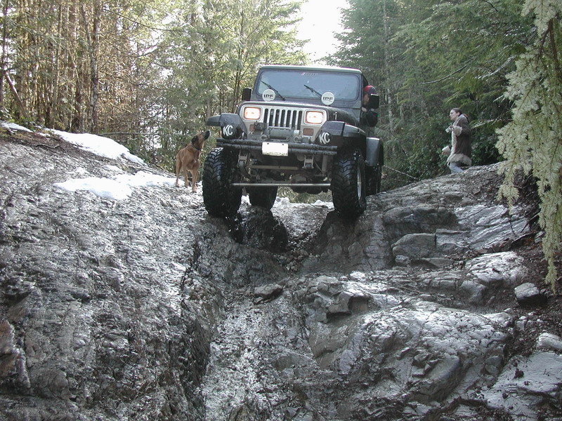 Jeep Wrangler climbing a difficult rocky trail with a dog nearby.