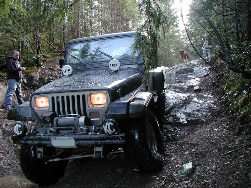 Dark Jeep Wrangler off-roading on a rocky, wooded trail.