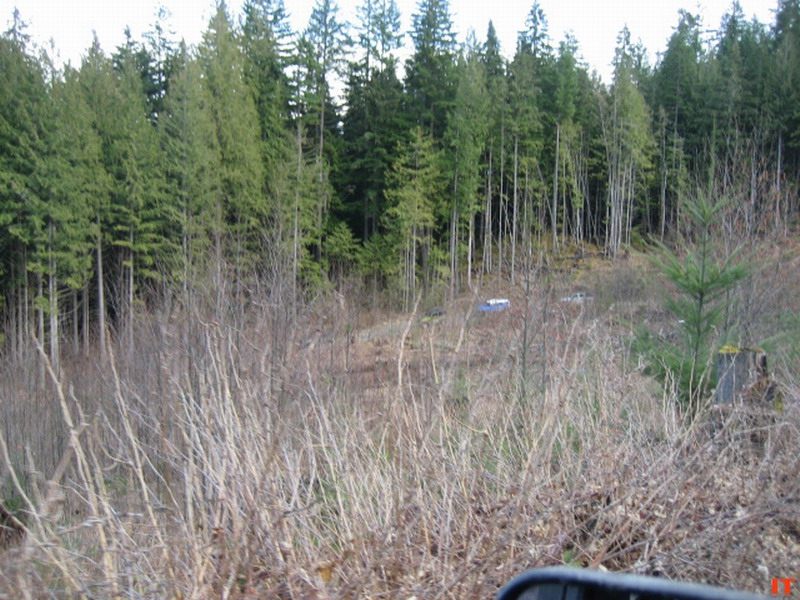 Two blue vehicles in a wooded area with a forest and dry brush.