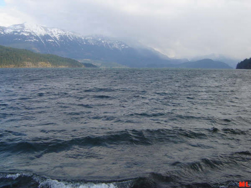 Harrison Lake at Hale Creek beach.
