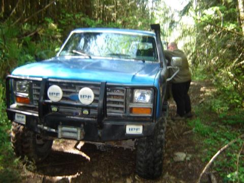 Blue 1985 Ford Bronco on a wooded trail, front view with brush guard and IPF lights.