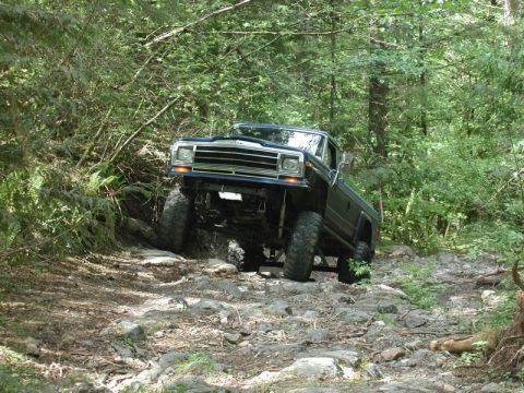 1985 Ford Bronco photo