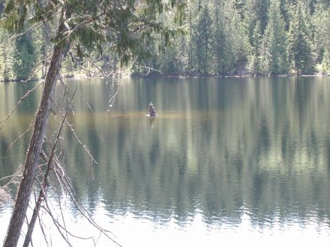 Stack of stones in a lake with forest reflection and a bare tree branch.
