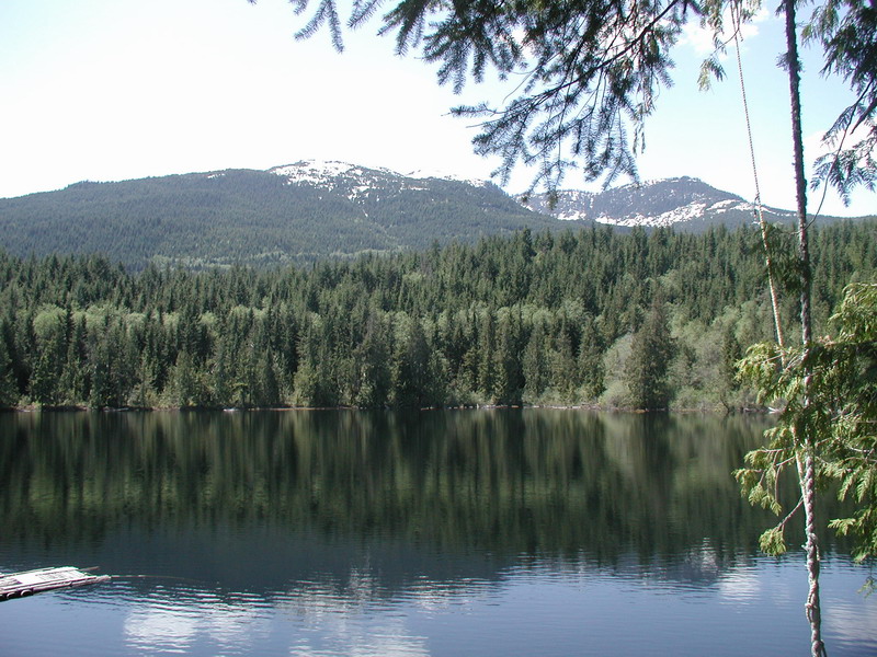 Lake reflecting forest and mountains with a rope swing