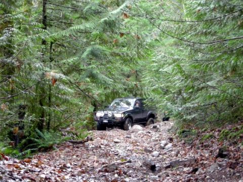 Dark SUV driving on a rocky forest trail.