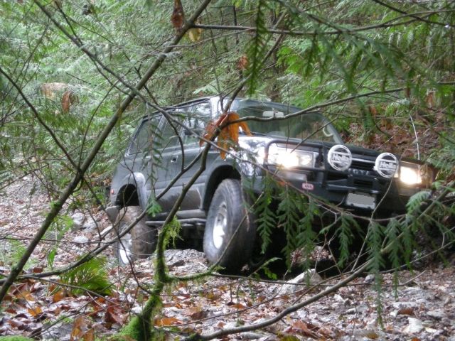 Dark SUV with brush guard and auxiliary lights on a wooded trail.