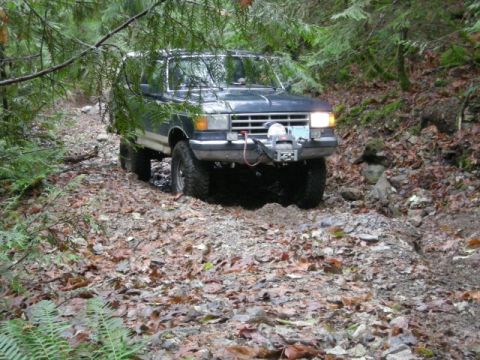 Dark blue Ford Bronco driving on a wooded trail with a winch on the front.