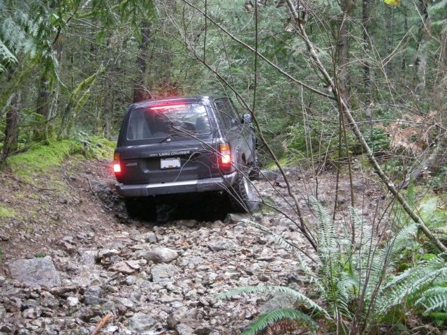 Dark SUV driving on a rocky, wooded trail.