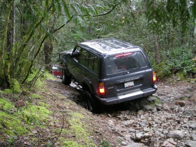 Dark gray Toyota Land Cruiser driving on a rocky, wooded trail.