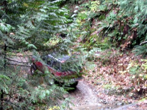 Red SUV on a muddy, wooded trail, partially hidden by trees.