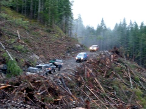 Off-road vehicles on a logging road with fallen trees and debris.