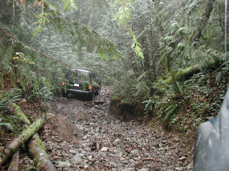 Dark SUV driving on a rocky, wooded trail.