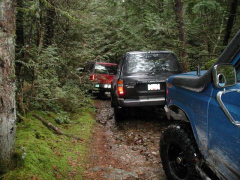 1985 Ford Bronco photo
