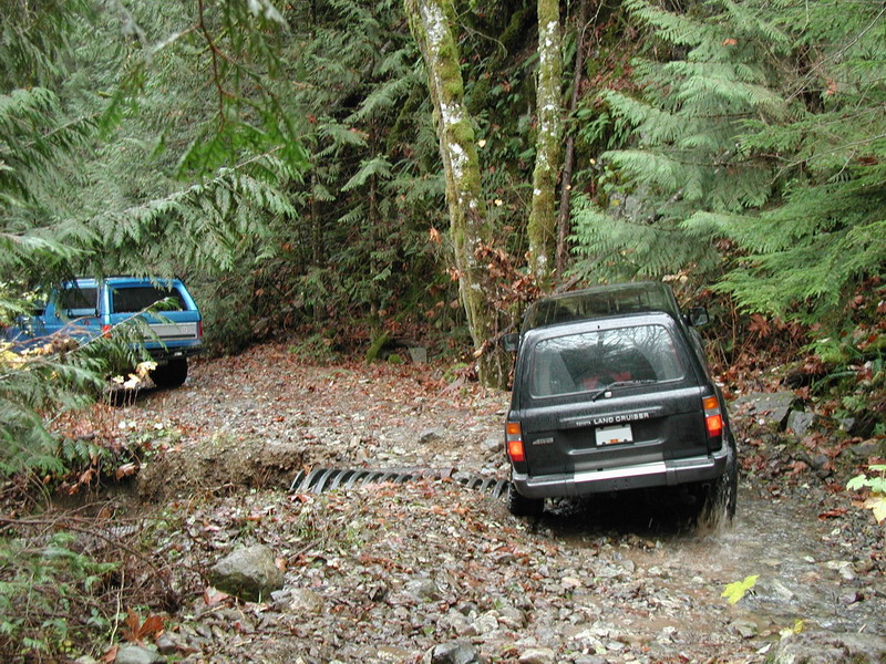 Off-roading in a forest with a black Toyota Land Cruiser and a blue pickup truck.