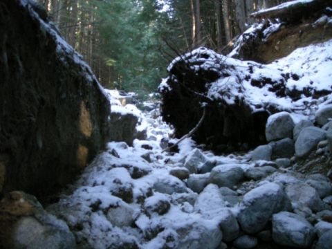 1985 Ford Bronco - A snowy forest floor with large rocks and exposed tree roots.