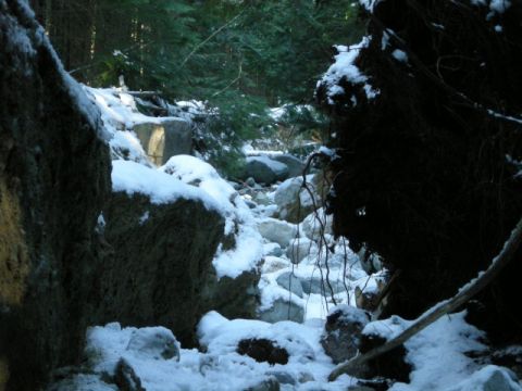 1985 Ford Bronco - A snowy forest scene with large rocks and fallen tree roots.