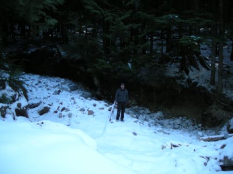 1985 Ford Bronco - A person stands in a snowy, wooded area next to a rocky embankment. The trees are dark green and dense, with snow covering the ground and r…