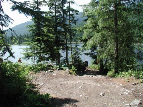 1985 Ford Bronco - A scenic view of a lake surrounded by trees, with a person visible near the water's edge.