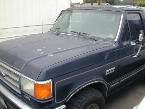 1988 Ford Bronco photo