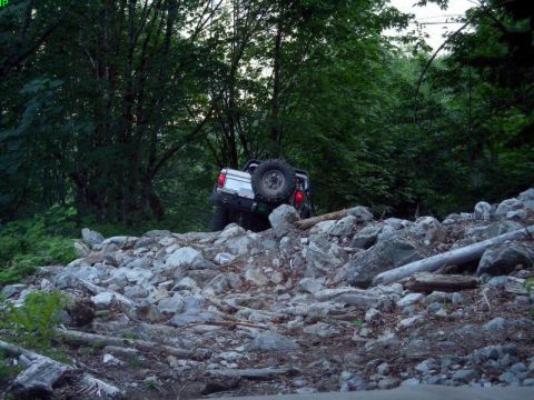1985 Ford Bronco - He was doing just fine.