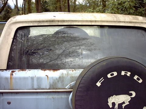 1979 Ford Bronco photo