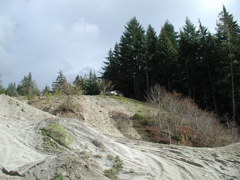 White SUV on a dirt hill next to a forest, with sandy foreground.