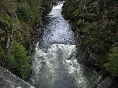 1985 Ford Bronco - A fast-flowing river cascades through a rocky gorge with trees on the banks.