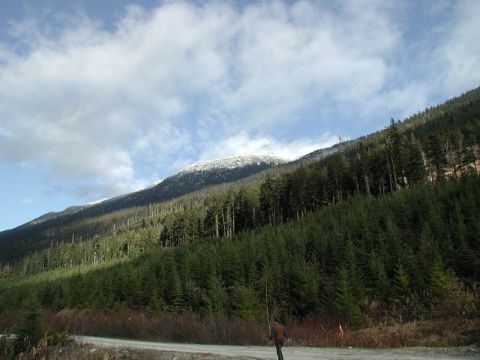 1985 Ford Bronco - A person walks on a gravel road in front of a dense forest that covers a mountainside. The peak of the mountain is dusted with snow.