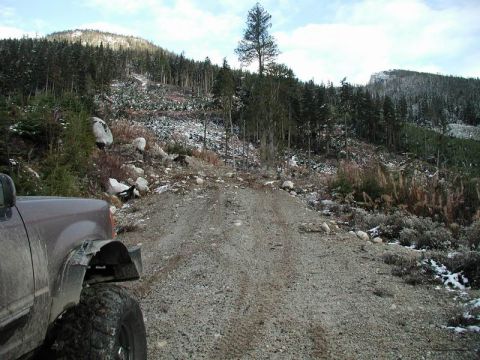 1985 Ford Bronco - The side trail we will be tackling.