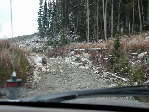 1985 Ford Bronco - On to see where this trail will take us.