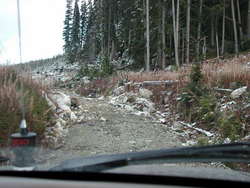 On to see where this trail will take us.
