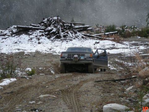 1985 Ford Bronco - A stuck Bronco.