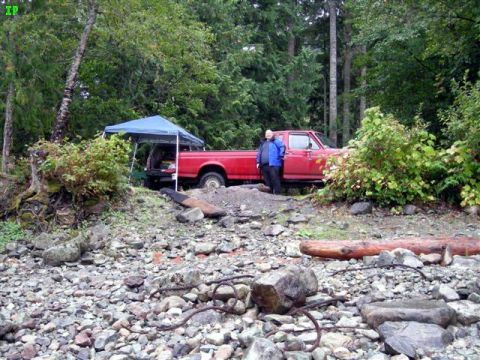 1990 Ford F-250 - Indir got a picture of a rare Blue Samsquanch checking out my truck.