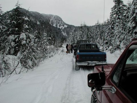 1990 Ford F-250 - A line of pickup trucks, including a blue Dodge, drive down a snow-covered forest road on an overcast day. The perspective is from the driv…