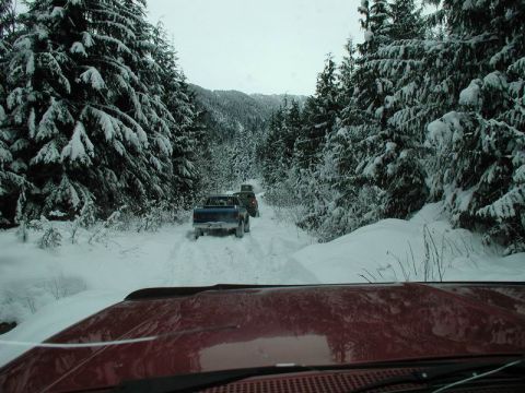 1990 Ford F-250 - A line of pickup trucks drives down a snow-covered forest road. The camera is positioned inside the cab of the leading vehicle, looking out…
