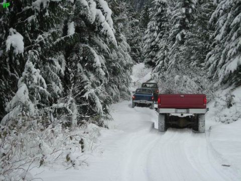 1990 Ford F-250 - A red Ford F-250 pickup truck drives down a snowy forest road, followed by two other trucks. The trees on either side of the road are heavi…