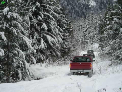 1990 Ford F-250 - A red Ford F-250 pickup truck drives down a snow-covered forest road, followed by two SUVs. The trees are heavily laden with snow.