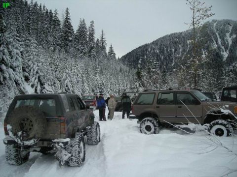 1990 Ford F-250 - Several modified SUVs are parked in a snow-covered forest with a mountain in the background. The vehicle in the foreground on the right is…