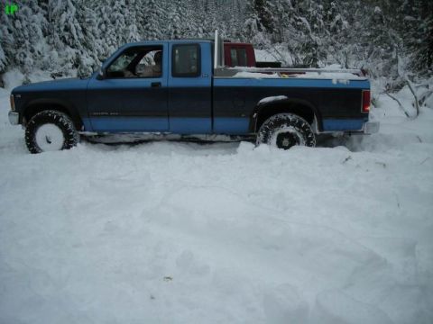 1990 Ford F-250 - A blue and black pickup truck is stuck in deep snow in a wooded area. The truck has large tires and appears to be a four-wheel-drive model.