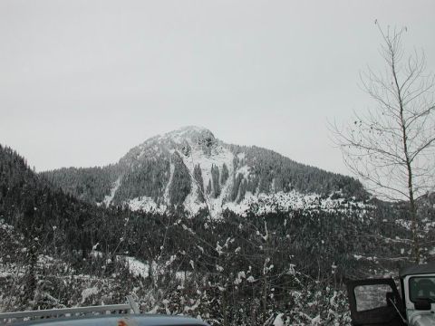 1990 Ford F-250 - A snow-covered mountain range is visible behind a partially obscured vehicle in the foreground, with a bare tree to the right.