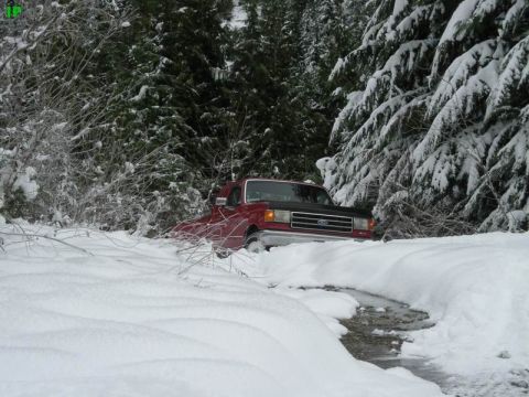 1990 Ford F-250 - A red Ford pickup truck is partially submerged in a snow-covered creek bed, with its front end visible amongst snow-laden trees.
