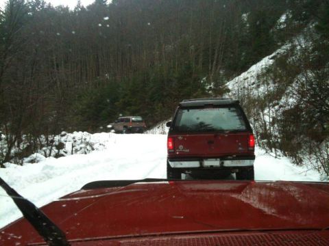1990 Ford F-250 - Further up Indian Arm.
