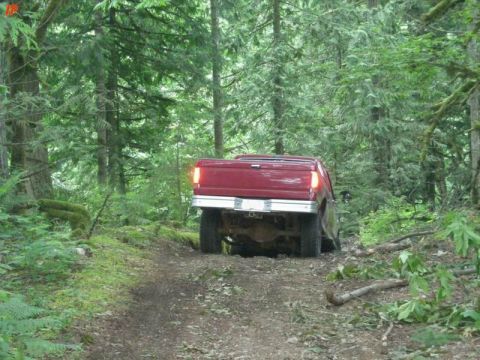1990 Ford F-250 - A short trail off the main road.