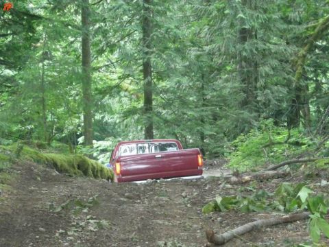 1990 Ford F-250 - A red Ford F-250 pickup truck is driving on a dirt path through a dense forest. The truck is angled away from the camera, showing its rear…