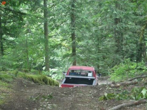 1990 Ford F-250 - A red Ford pickup truck is driving off-road on a dirt path through a dense forest. The truck is viewed from the rear, showing its bed and t…