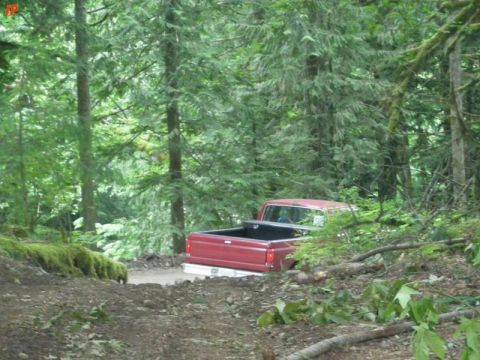 1990 Ford F-250 - A red Ford F-250 pickup truck is parked on a dirt road in a forest. The rear of the truck is visible, showing the bed and tailgate.