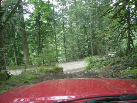 1990 Ford F-250 - Indir's in-cab view.