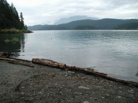 1990 Ford F-250 - Harrison Lake; very high water line.