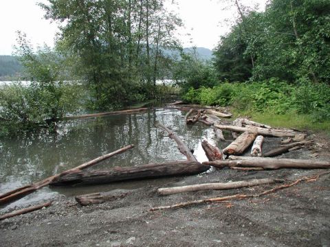 1990 Ford F-250 - Harrison Lake; very high water line.